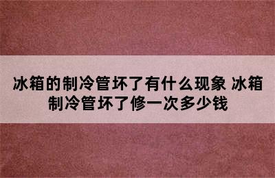 冰箱的制冷管坏了有什么现象 冰箱制冷管坏了修一次多少钱